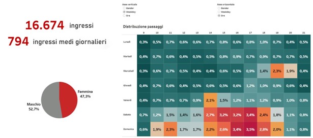 dashboard grottinilab